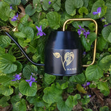 Personalised Watering Can - Swiss Cheese Monstera